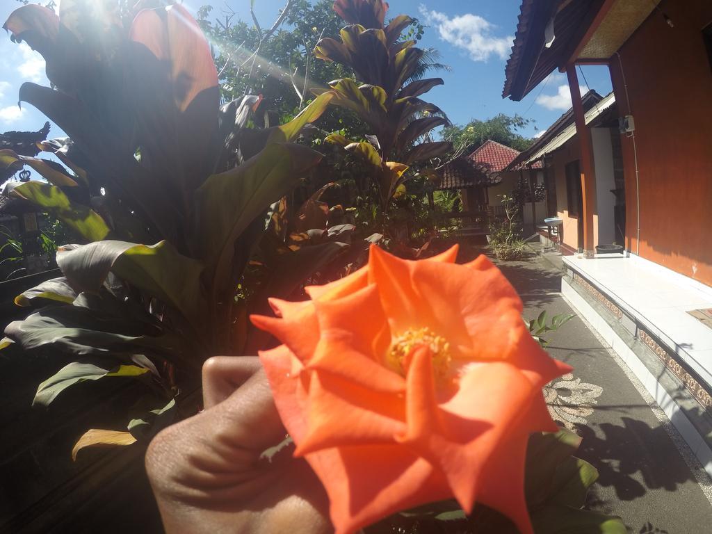 Dipa Home Stay Ουμπούντ Εξωτερικό φωτογραφία
